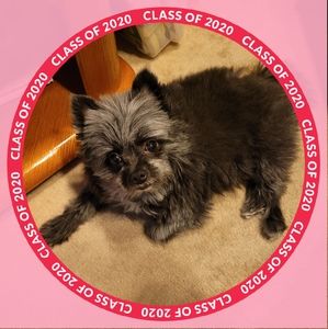 Meet your Posher, Debra